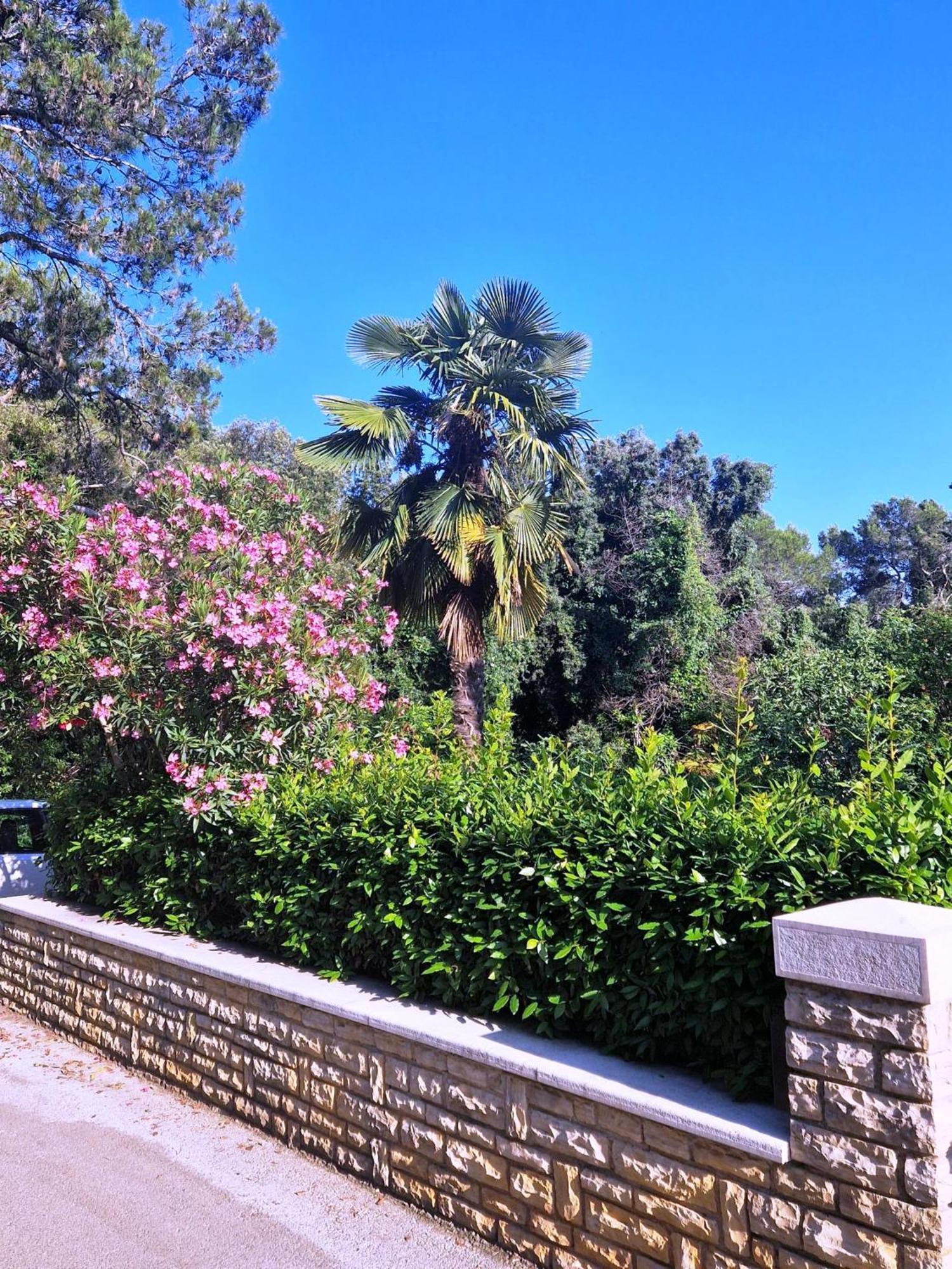 Molo View Apartment Rovinj Bagian luar foto