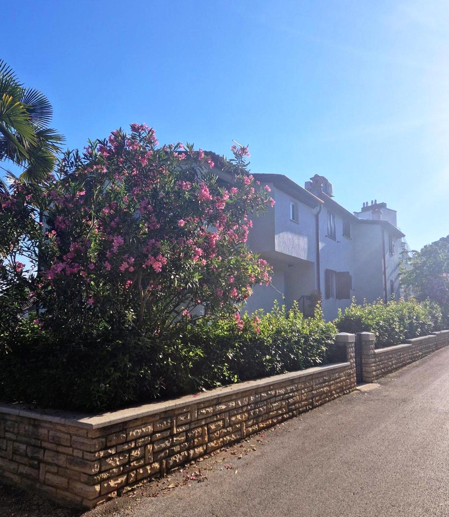 Molo View Apartment Rovinj Bagian luar foto