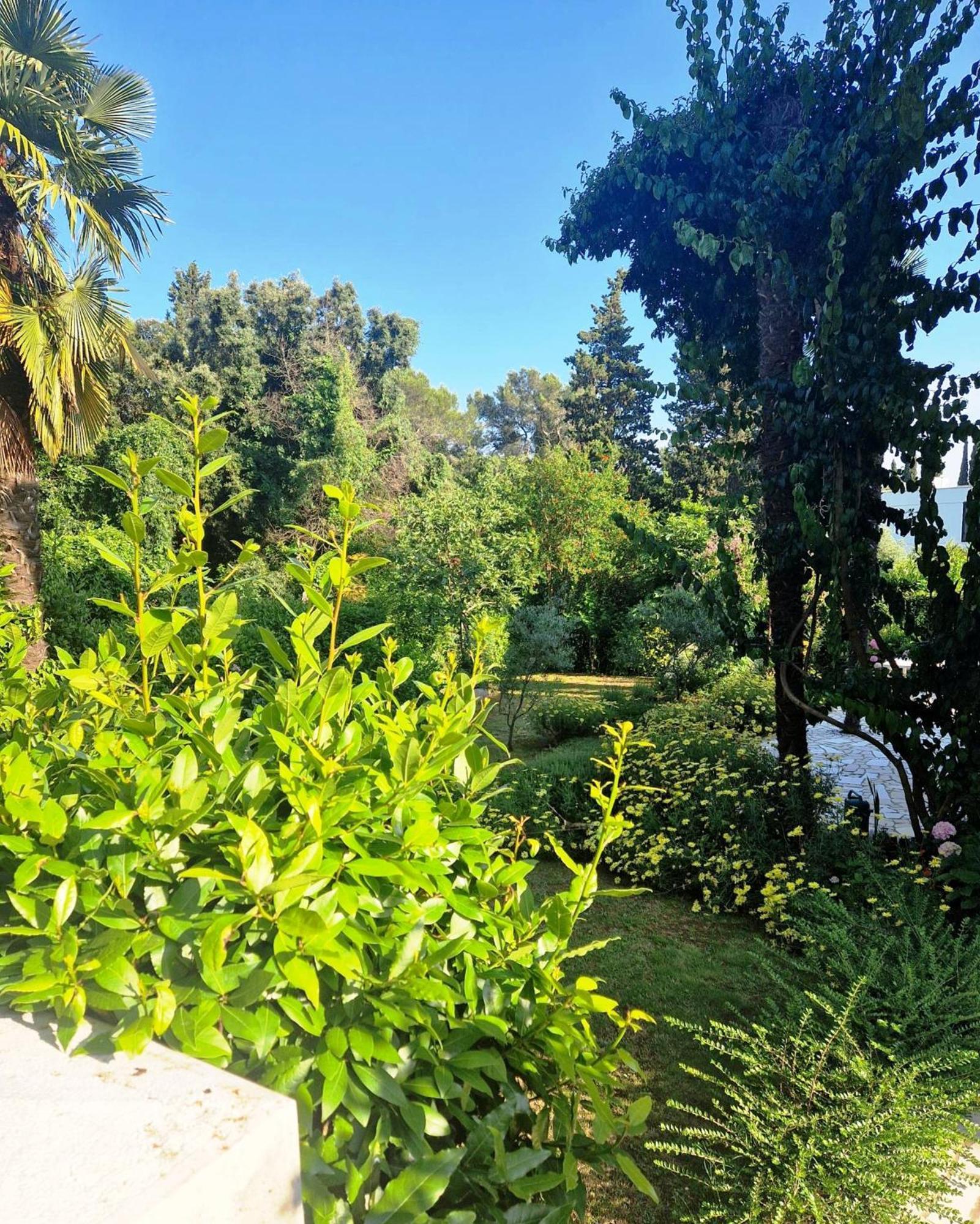 Molo View Apartment Rovinj Bagian luar foto
